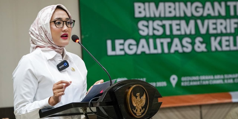 Legislator PKB Minta Izin Pengelolaan Hutan Dievaluasi Total
