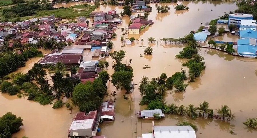 Hutan, Sawit, Tambang, dan Senjakala Peradaban Sumatera