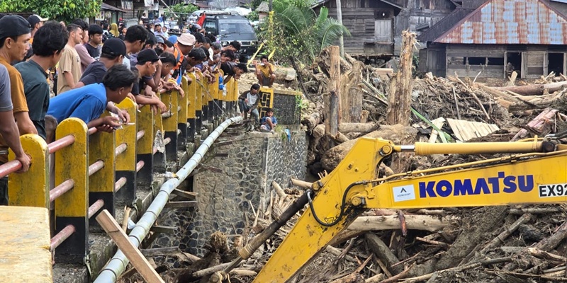 Nonton Pembersihan Kayu