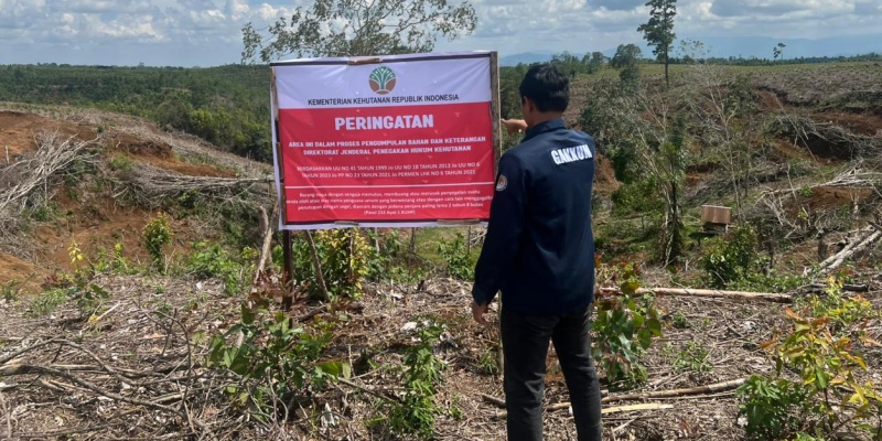 Gakkum Kemenhut Telusuri Kerusakan Hulu DAS Penyebab Banjir Tapanuli