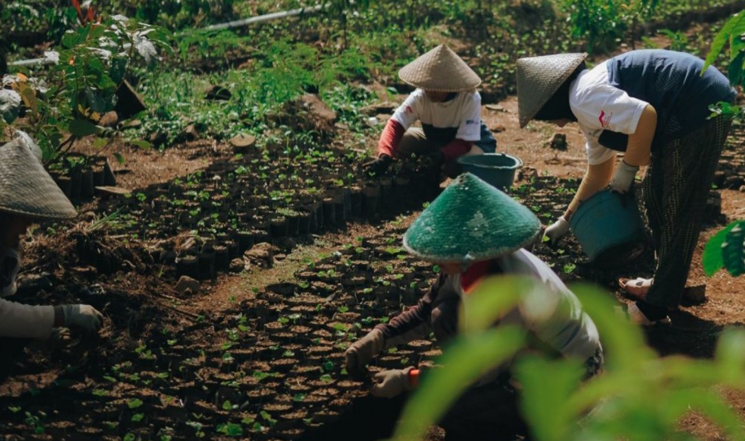 Ekonomi Petani Kopi Garut Terdongkrak Lewat Desa Sejahtera Astra