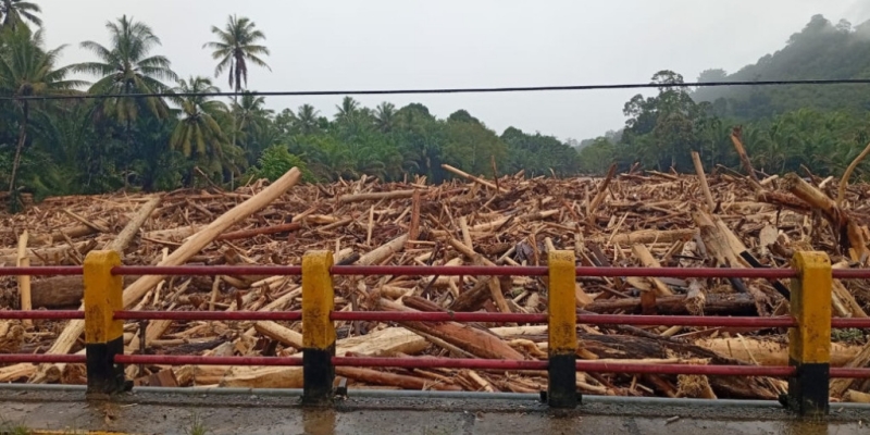 Kemenhut Harus Ungkap Dalang Penyebab Bencana di Sumatera