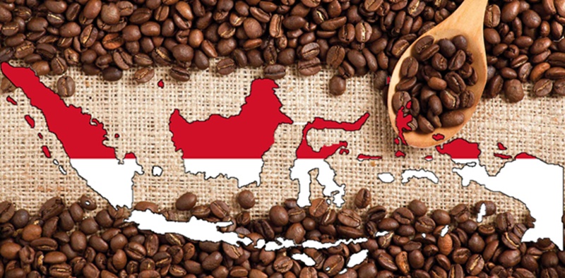 Ironi Kemiskinan di Balik Melimpahnya Kopi