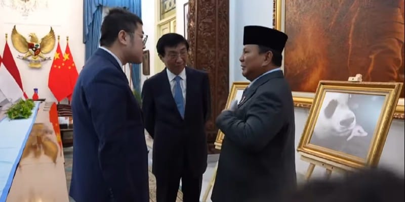 Momen Prabowo Pamer Bayi Panda Rio ke Ketua MPR Tiongkok