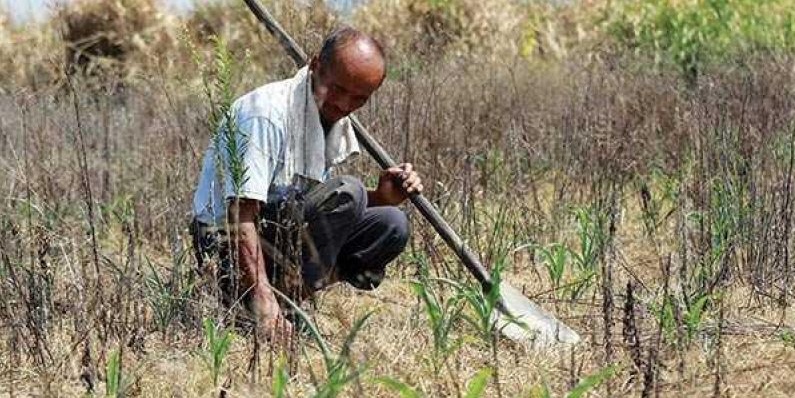 RUU Perubahan Iklim Dinilai Lebih Pro Pasar Ketimbang Lindungi Rakyat