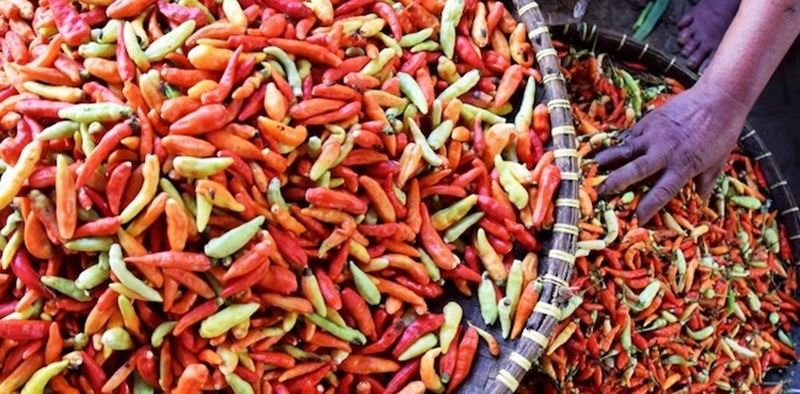 Harga Cabai Rawit Meroket di Kota Bogor Jelang Ramadan
