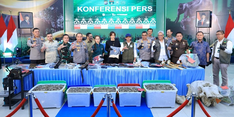 Polisi Bekuk 15 Tersangka Perburuan Gajah Sumatera Lintas Provinsi