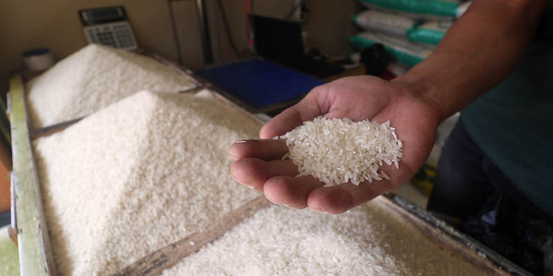 Membenahi Logika Swasembada Beras yang Mengada-ada