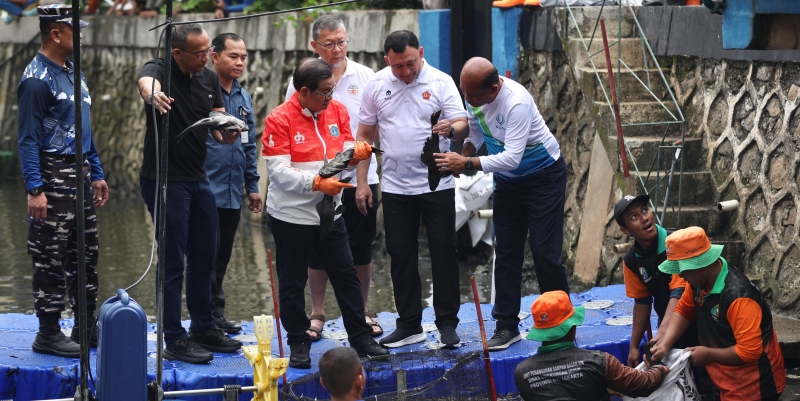 Mengubah Perang Ikan Sapu-Sapu Jadi Kebijakan Sungai Berbasis Bukti