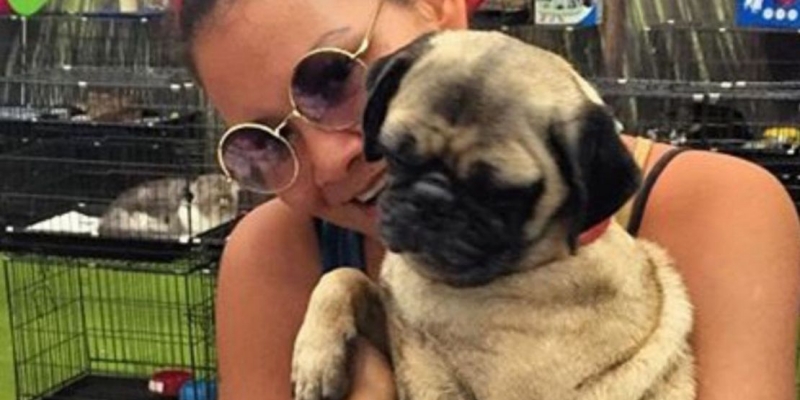 Sembilan Tahun Kasus Kematian Anjing Melanie Subono Mangkrak