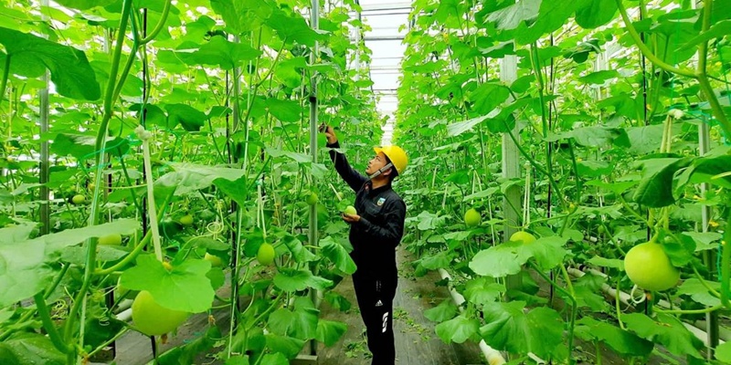 Pengembangan Panas Bumi Pertamina Turut Genjot Perekonomian Rakyat