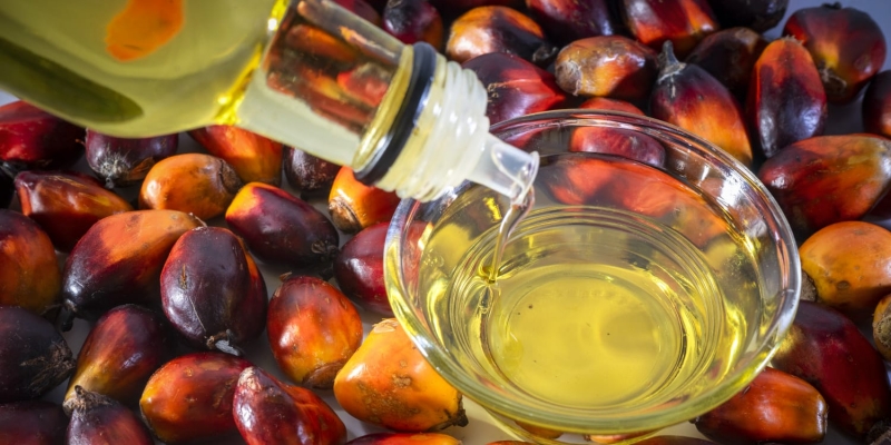 Lonjakan Biaya Plastik Picu Kenaikan Harga Minyak Goreng