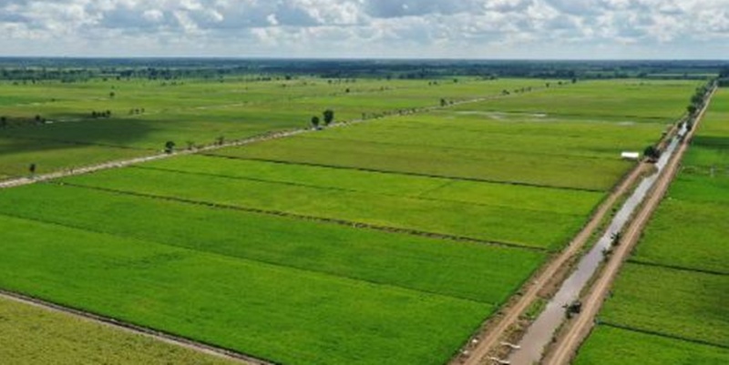 Konflik Agraria di Program Lumbung Pangan