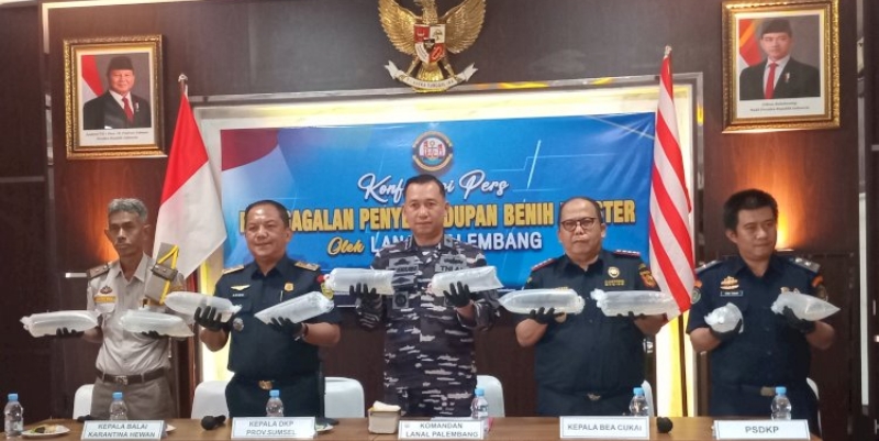 Penyelundupan 125 Ribu Benur Seharga Rp6 Miliar Digagalkan