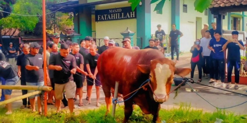 Masjid Kompleks Amien Rais Dapat Kiriman Sapi Berinisial TIW