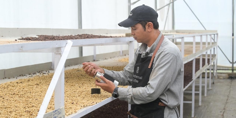 Dari Panas Bumi: Inovasi Pertamina Hadirkan Secangkir Kopi