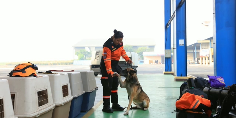 Polri Terbangkan 10 Anjing K9 untuk Cari Korban Gempa NTT