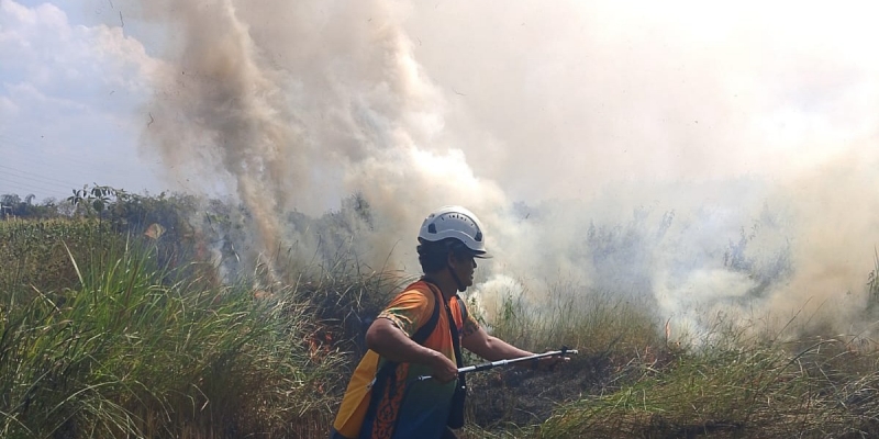 APBN Jangan Dipakai Bereskan Karhutla akibat Pemegang Izin