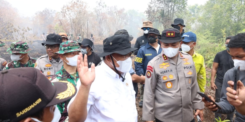 Jumhur Dorong Tobat Ekologis Nasional untuk Lawan Karhutla