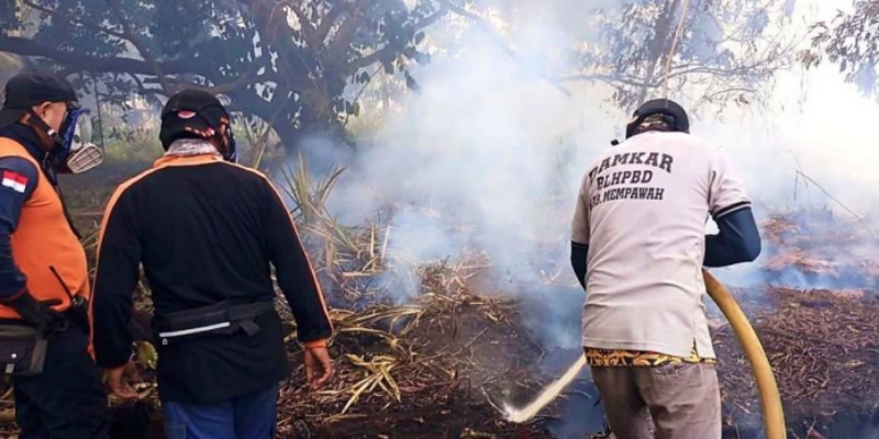Pemerintah All Out Hadapi Karhutla Lewat Koordinasi Lintas Lembaga