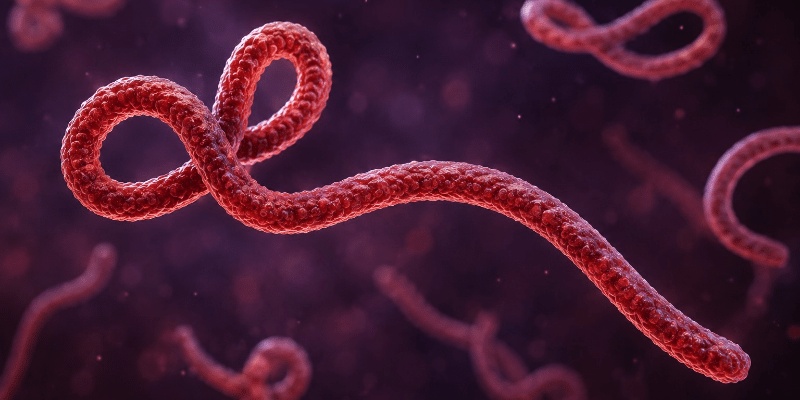 WHO Tetapkan Wabah Ebola di Republik Demokratik Kongo Terburuk dalam Sejarah