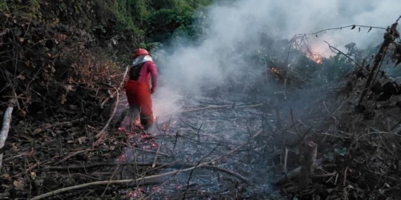 El Nino Sangat Kuat, Jangan Bakar Lahan untuk Land Clearing
