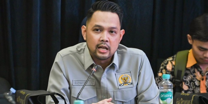Pergantian Dirut Garuda Indonesia Momentum Pembenahan Perusahaan