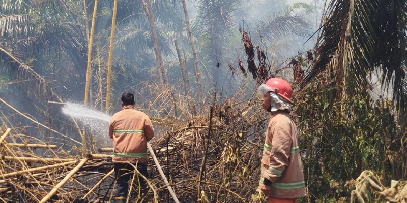 Sultan Deli XIV Desak Perusahaan Pembakar Hutan Ditindak Tegas