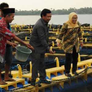 Pandeglang Jadi Lumbung Perikanan Di Provinsi Banten
