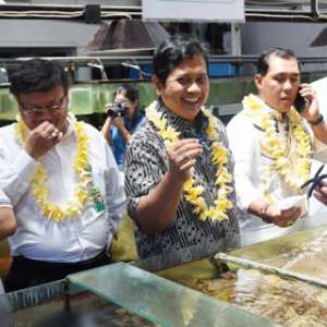 Budi Daya Koral Harus Miliki Manfaat Ekonomi