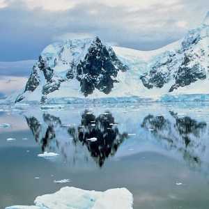 Ilmuwan Chile Temukan Bakteri Super Kuat di Antartika, Tak Mempan Pakai Disinfektan