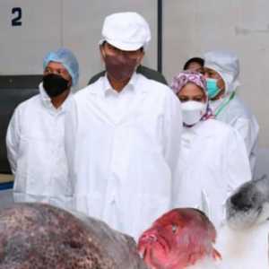 Kunjungan kerja Presiden Joko Widodo ke PT Samudera Indo Sejahtera di Kota Tual, Maluku/Ist