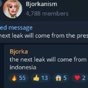 Investigasi Warganet: Dari Gaya Bahasanya, Hacker Bjorka adalah Orang Indonesia