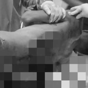 Warga Lampura Tewas Tertembak saat Polisi Gerebek Perjudian