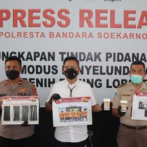 Polisi Gagalkan Penyelundupan Ribuan Benih Lobster Senilai Rp 4,1 Miliar ke Singapura
