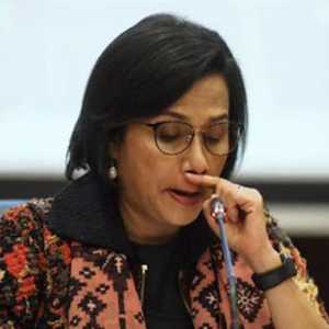 Menteri Keuangan Sri Mulyani/Net