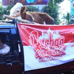 Polri Sebar 9.300 Hewan Kurban ke Seluruh Indonesia
