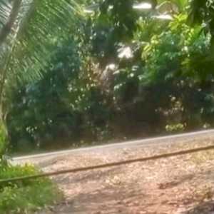 Terjunkan Personel, Polres Pesawaran Selidiki Dugaan Tambang Pasir Ilegal di Sungai Way Ratai