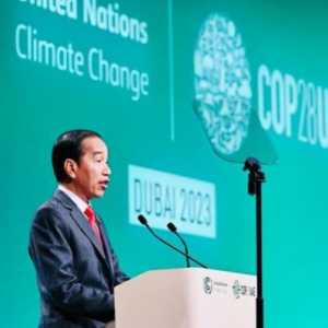 Di COP28, Jokowi Beberkan Langkah Indonesia Demi Capai Net Carbon Sink Sektor Hutan dan Lahan
