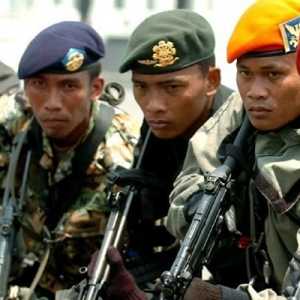 Ketimbang Minta Kenaikan Uang Lauk Pauk, TNI Sebaiknya Perjuangkan Batalyon Cyber