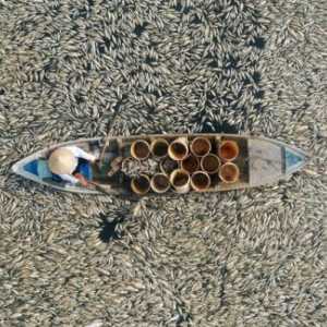 Ribuan Ikan Mati Gara-gara Gelombang Panas Vietnam