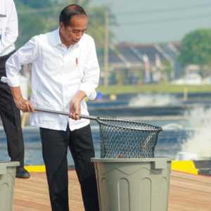 Jokowi Resmikan Modeling Budidaya Ikan Nila Salin Beromzet Miliaran