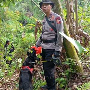 Pemburu Badak Jawa Diburu Polisi Pakai Anjing Pelacak