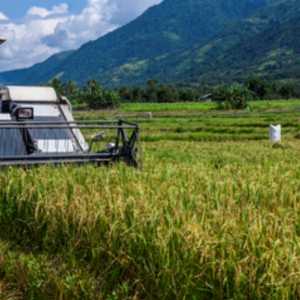 Indonesia Gandeng China untuk Kembangkan Teknologi Pertanian