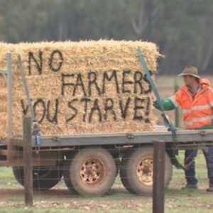 Tidak Terima Rencana Larangan Ekspor Domba Hidup, Ribuan Petani Australia Demo