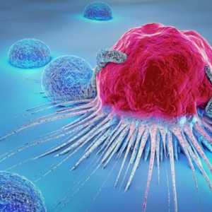 Ilmuwan China Ciptakan Bahan Nano Penghambat Tumor hingga 80 Persen