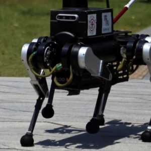 China Uji Coba Robot Anjing Pemandu Tuna Netra