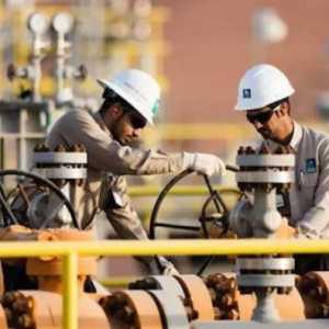 Arab Saudi Temukan Tujuh Cadangan Minyak dan Gas Baru