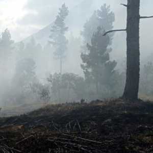 Penyebab Kebakaran 6 Hektare Lahan di Bener Meriah Masih Diselidiki