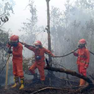 Upaya Pemadaman Karhutla di OKI Terkendala Sumber Air